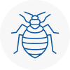 Bed Bug Extermination In Coleshill