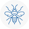 Coleshill Hornet Nest Removals