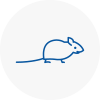 Mice Exterminators In Coleshill