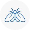 Moth Control Specialists In Coleshill