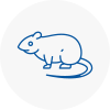 Rat Control Coleshill
