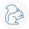 Coleshill Rodent Removals